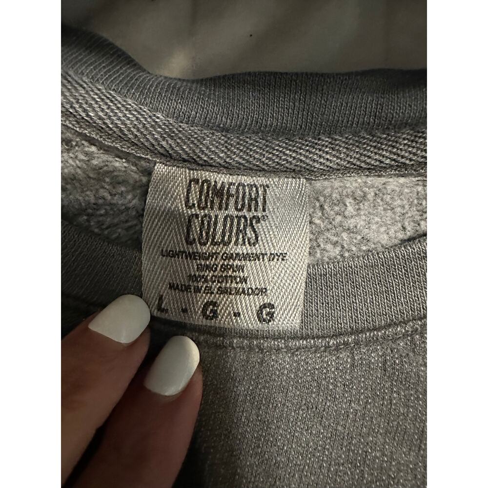 Comfort Colors "Visionary" Crewneck Sweatshirt Size Large Gray Lightweight - Picture 4 of 6